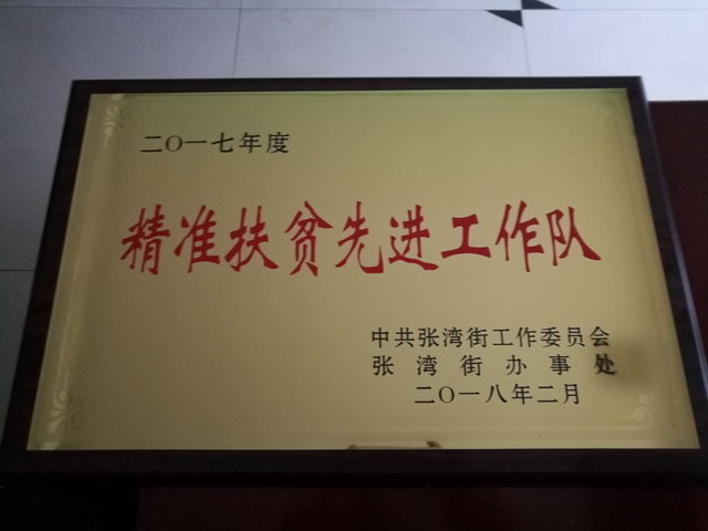 2017年度精準扶貧先進工作隊榮譽稱號